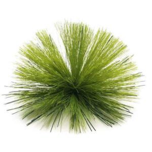 Stiff Brush - 28"